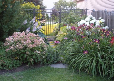 Daylily Mix