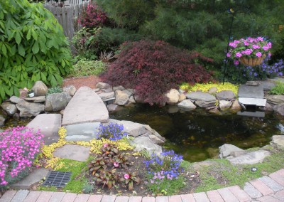 June Pond Planting