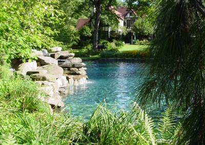 Natural Garden View