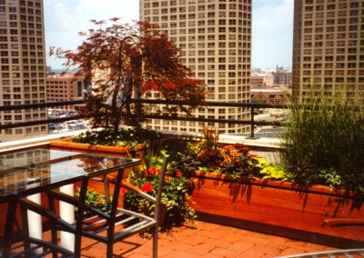 Rooftop Planters