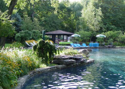 Pool in the Landscape