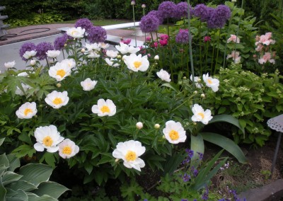 Floral Beds