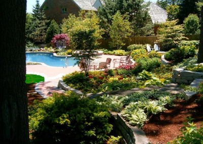 Pool + Surrounding Landscape