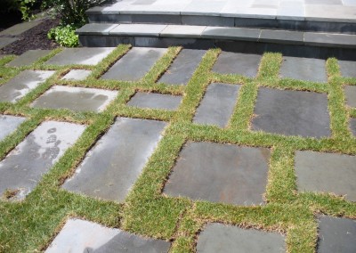 Groundcover w/ Pavers