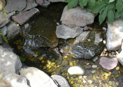 Rocky Pond