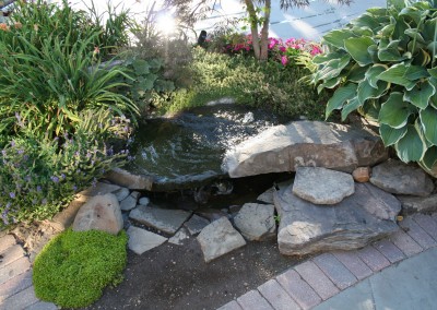 Water Feature