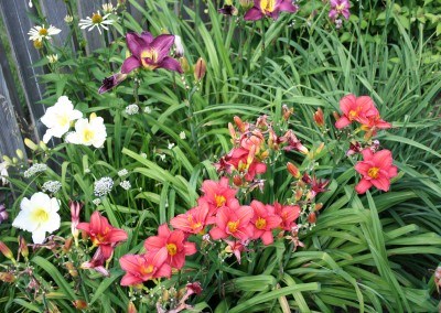 Floral Bed