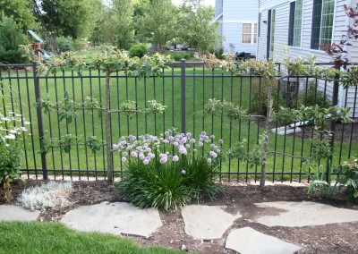 Walkway with Flowers