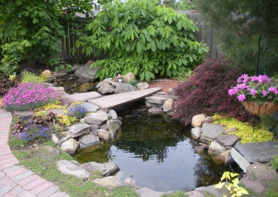 Water Feature in the Landscape