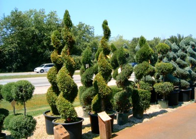 Topiary